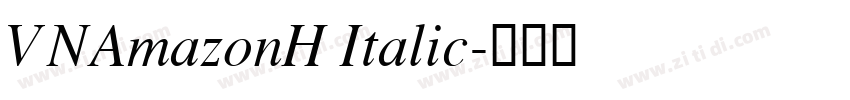 VNAmazonH Italic字体转换